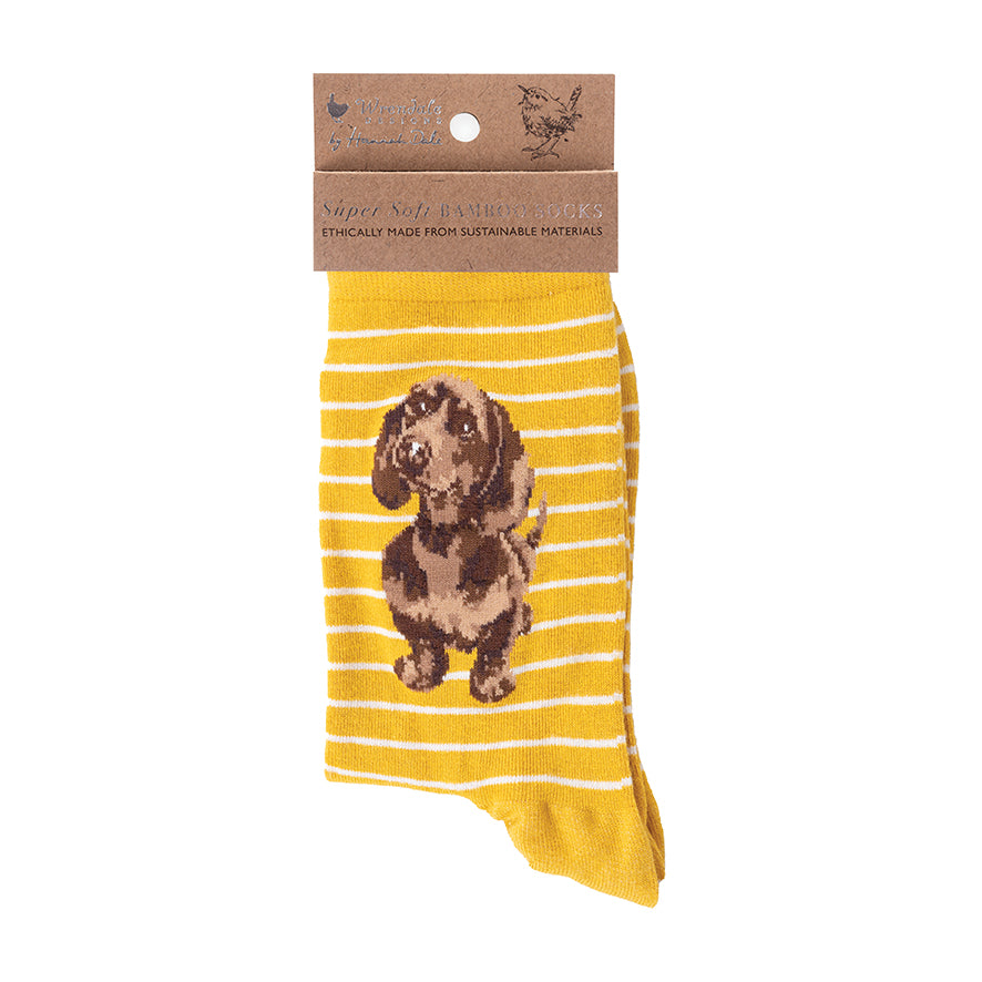 Wrendale ‘Little One’ Dachshund Socks