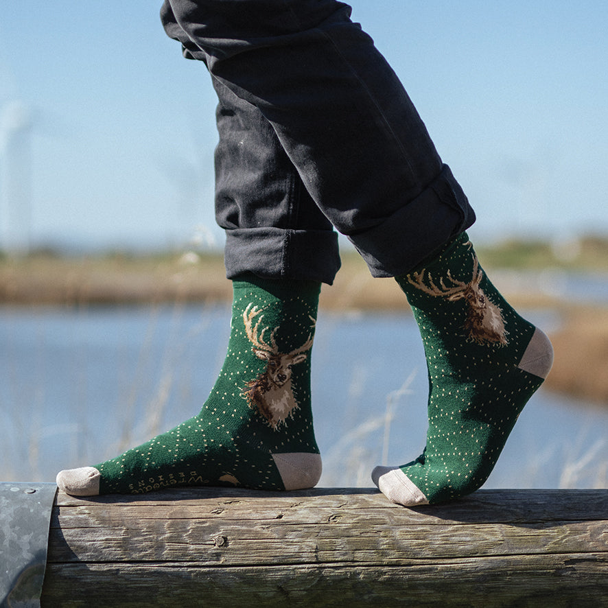 Wrendale ‘In My Footsteps’ Bear Mens Socks