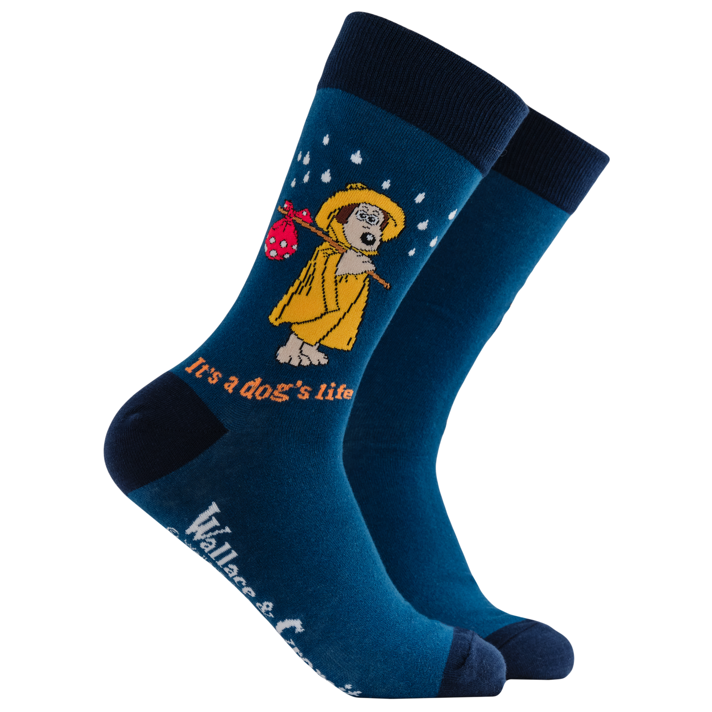 Wallace and Gromit ‘It's a Dog's Life’ Gromit Socks