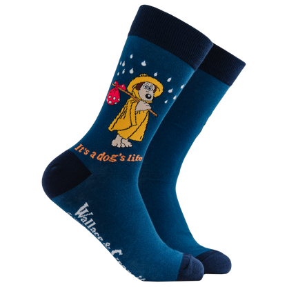 Wallace and Gromit ‘It's a Dog's Life’ Gromit Socks