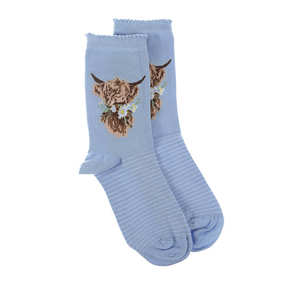 Wrendale ‘Daisy Coo’ Highland Cow socks