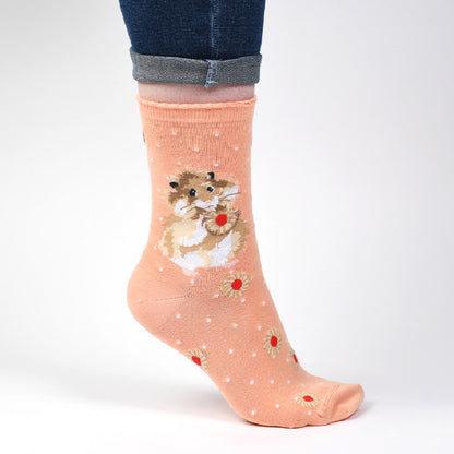 Wrendale ‘Diet Starts Tomorrow’ Hamster Socks